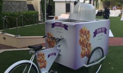 Cycle branding