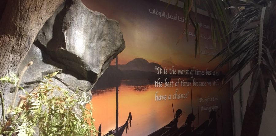 Dubai Mall Under water Zoo, wall graphics