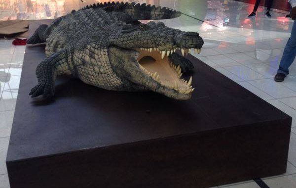 Crocodile Branding in Dubai Mall