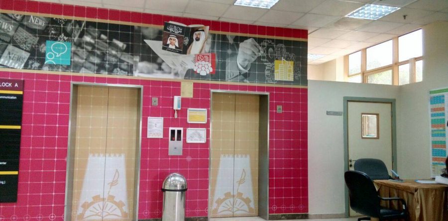 Ajman University wall branding