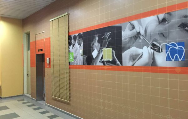 Ajman University wall branding