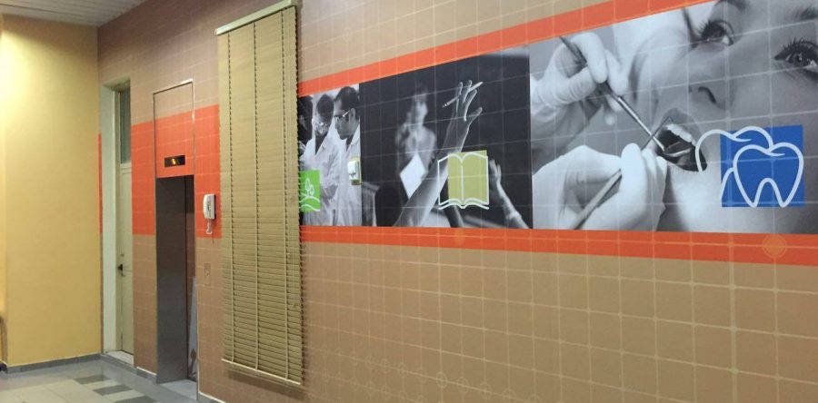 Ajman University wall branding