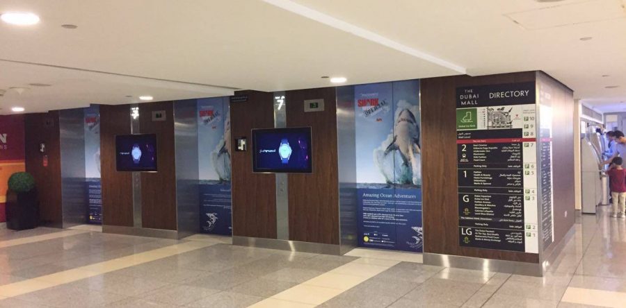 Shark Week in Dubai Mall