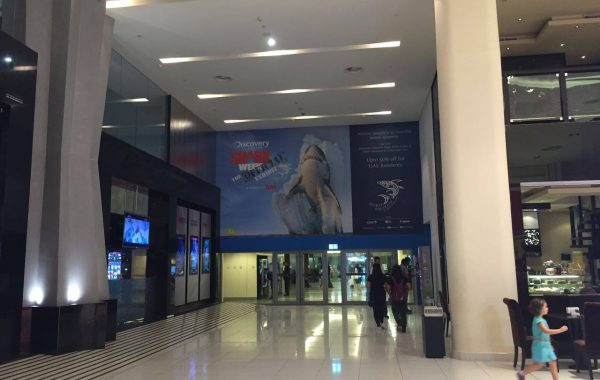 Shark Week in Dubai Mall