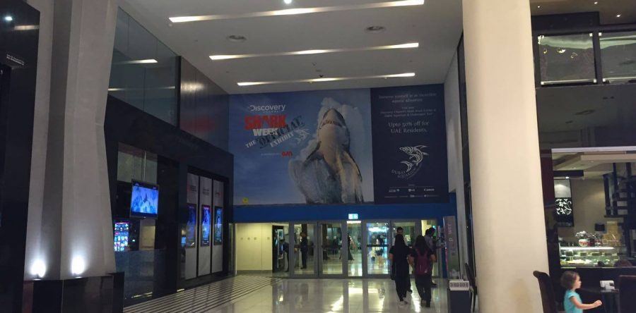 Shark Week in Dubai Mall