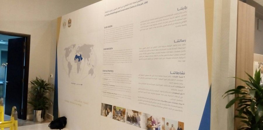Promotional wall graphics for ICCROM ATHAR, Sharjah