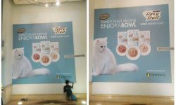 MARINA MALL WALL STICKER – Spinneys Promotion