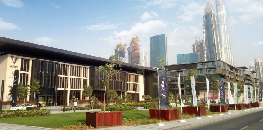 Flag ,Outdoor Branding  for Valiant Clinic