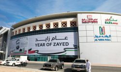 Year of Zayed – Branding